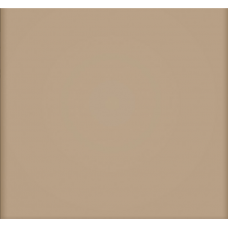 Πλακάκι Pastel Cappuccino 20X20 cm Γυαλιστερό